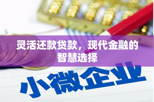 海宁灵活还款贷款，现代金融的智慧选择