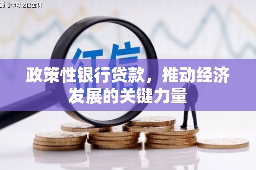 连南政策性银行贷款，推动经济发展的关键力量