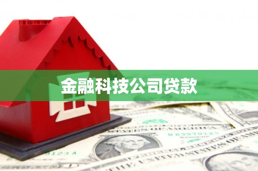 信宜金融科技公司贷款