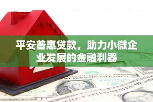 中寮平安普惠贷款，助力小微企业发展的金融利器