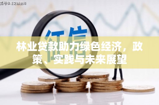 霍山林业贷款助力绿色经济，政策、实践与未来展望