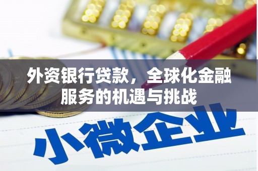 松北外资银行贷款，全球化金融服务的机遇与挑战