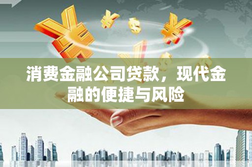 寿丰消费金融公司贷款，现代金融的便捷与风险