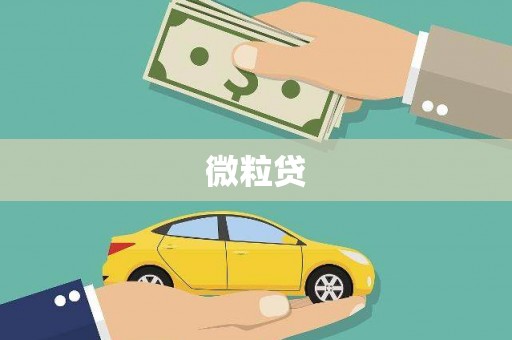 薛城微粒贷