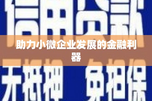 正宁助力小微企业发展的金融利器