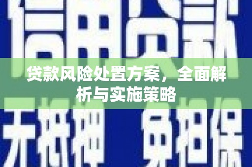 大观贷款风险处置方案，全面解析与实施策略